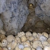cave_skull_hil_mb_v_0137_png1188.jpg